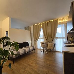 Deluxe Studio met een King Size Bed
